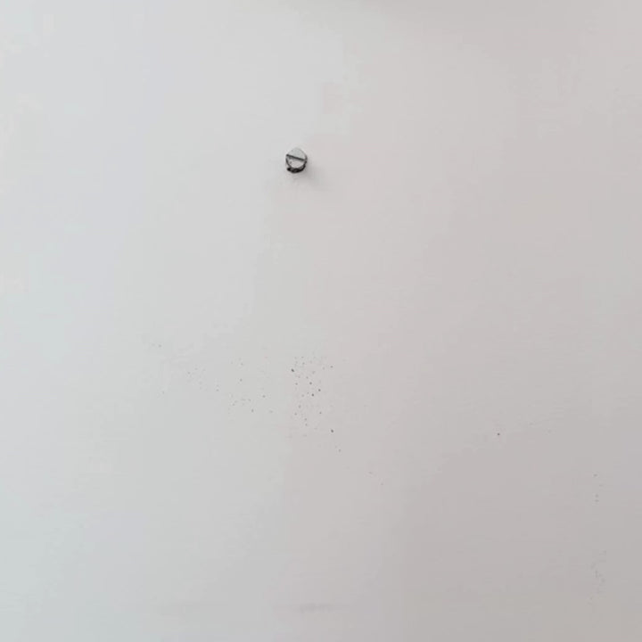 Gupshup | Decor Plate | 10"