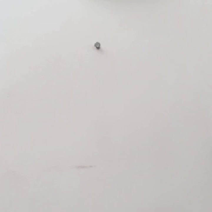 Pause & Reflect | Decor Plate | 10"